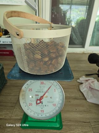 김종협님의 기타작물 · 영농일지 작성글 사진