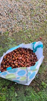 팜모닝 기타작물·영농일지 게시글 이미지