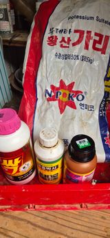 팜모닝 들깨·영농일지 게시글 이미지