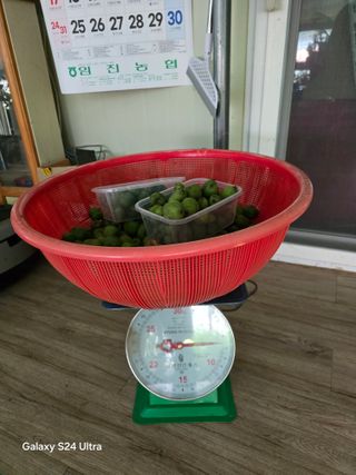 김종협님의 기타작물 · 영농일지 작성글 사진