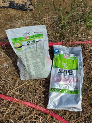 라온베리님의 마늘 · 영농일지 작성글 사진