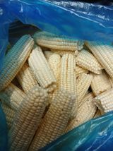 팜모닝 옥수수·영농일지 게시글 이미지