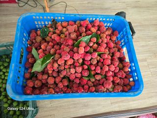 김종협님의 기타작물 · 영농일지 작성글 사진