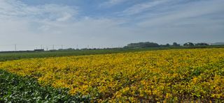 지현철님의 기타작물 · 영농일지 작성글 사진