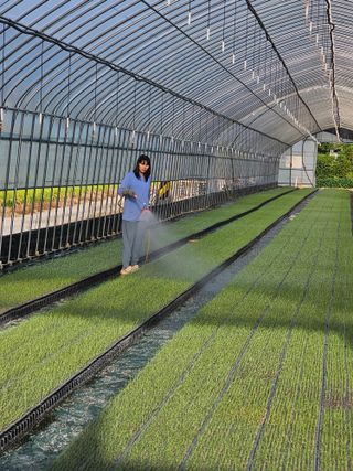 권정식님의 양파 · 영농일지 작성글 사진