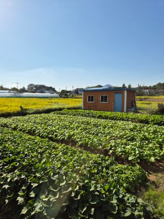 hoonkoo님의 기타작물 · 영농일지 작성글 사진