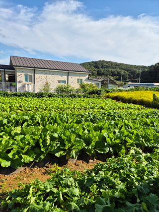 hoonkoo님의 기타작물 · 영농일지 작성글 사진