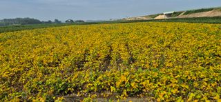 지현철님의 기타작물 · 영농일지 작성글 사진