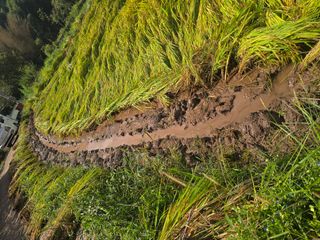 박정원님의 기타작물 · 영농일지 작성글 사진