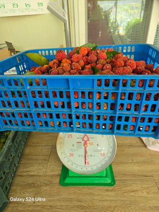 김종협님의 기타작물 · 영농일지 작성글 사진