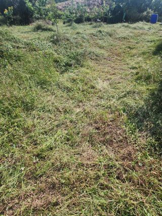 박병한님의 기타작물 · 영농일지 작성글 사진