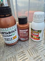 팜모닝 양파·영농일지 게시글 이미지