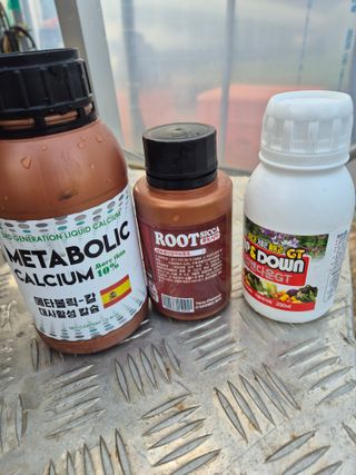 조성민님의 양파 · 영농일지 작성글 사진