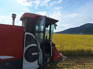 차승민님의 벼 · 영농일지 작성글 사진