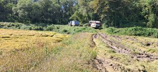 이복길님의 벼 · 영농일지 작성글 사진