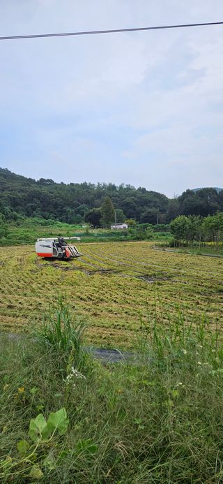 이성주님의 벼 · 영농일지 작성글 사진
