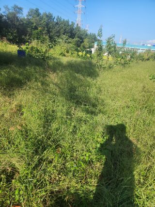 박병한님의 기타작물 · 영농일지 작성글 사진