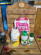 팜모닝 배추·영농일지 게시글 이미지