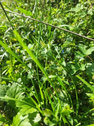 박병한님의 기타작물 · 영농일지 작성글 사진