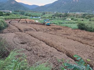 박종민님의 기타작물 · 영농일지 작성글 사진