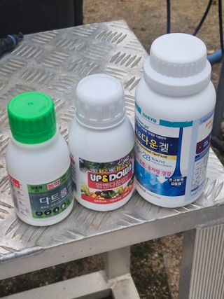 조성민님의 양파 · 영농일지 작성글 사진