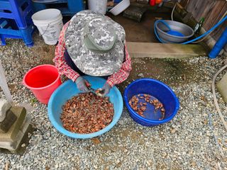 경달현님의 파 · 영농일지 작성글 사진