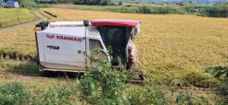 이복길님의 벼 · 영농일지 작성글 사진