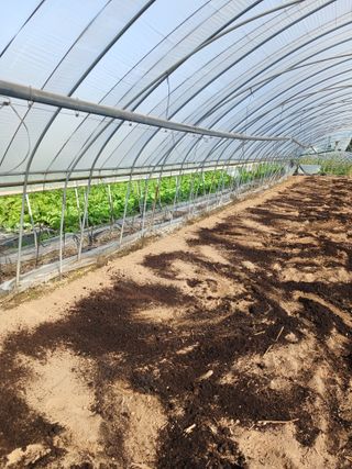 자기왕사랑해님의 양파 · 영농일지 작성글 사진