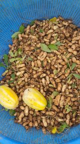 팜모닝 파·영농일지 게시글 이미지