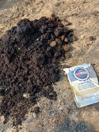 자기왕사랑해님의 양파 · 영농일지 작성글 사진