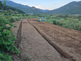 박종민님의 기타작물 · 영농일지 작성글 사진