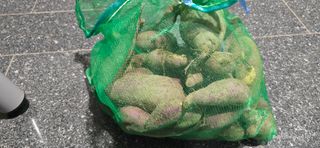 산골아찌님의 배추 · 영농일지 작성글 사진