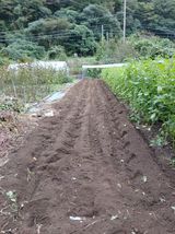 팜모닝 기타작물·영농일지 게시글 이미지