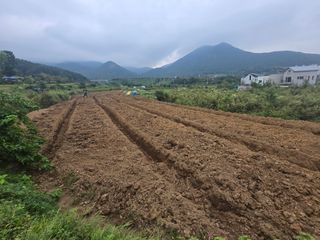 박종민님의 기타작물 · 영농일지 작성글 사진