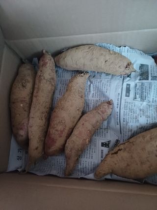 준재님의 기타작물 · 영농일지 작성글 사진