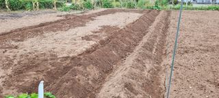 김안재님의 기타작물 · 영농일지 작성글 사진