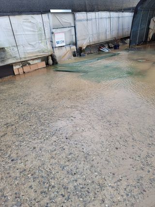 윤남근님의 기타작물 · 영농일지 작성글 사진