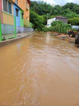 팜모닝 기타작물·영농일지 게시글 이미지