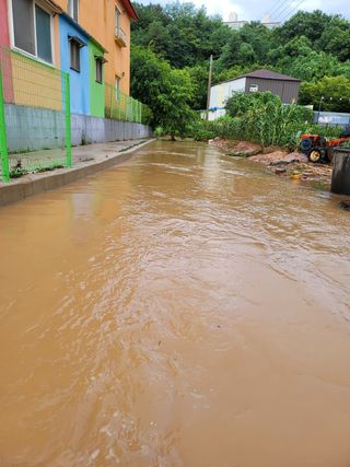 윤남근님의 기타작물 · 영농일지 작성글 사진