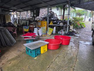 윤자용11대임후회장님의 고추 · 영농일지 작성글 사진