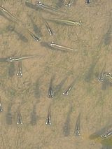 팜모닝 벼·영농일지 게시글 이미지