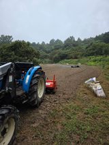 팜모닝 블루베리·영농일지 게시글 이미지