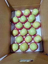 팜모닝 기타작물·영농일지 게시글 이미지