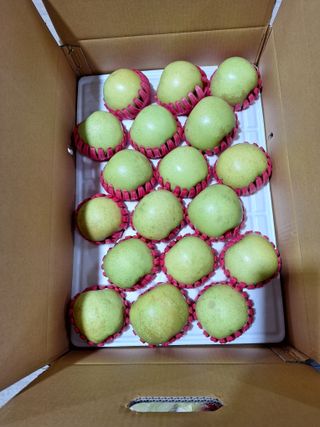 산꼭대기사과밭님의 기타작물 · 영농일지 작성글 사진