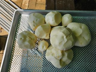 연모 자연의행복님의 기타작물 · 영농일지 작성글 사진