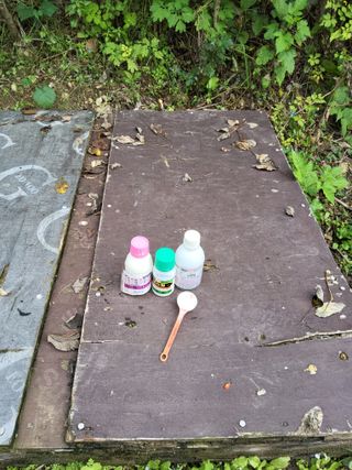 김성열님의 배추 · 영농일지 작성글 사진