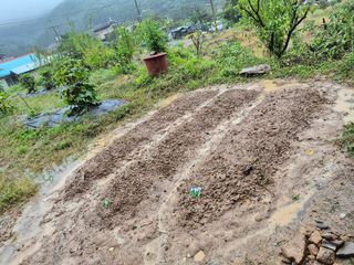 나오리농장님의 기타작물 · 영농일지 작성글 사진