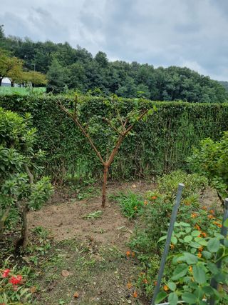 박병철님의 기타작물 · 영농일지 작성글 사진