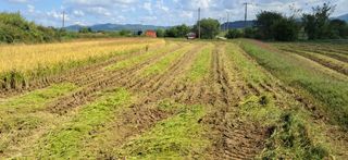 이복길님의 벼 · 영농일지 작성글 사진