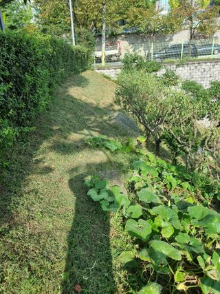 박병철님의 매실 · 영농일지 작성글 사진